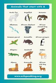 15 animal images that start with A